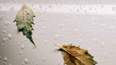 Photo of Het belang van een goede luchtvochtigheid