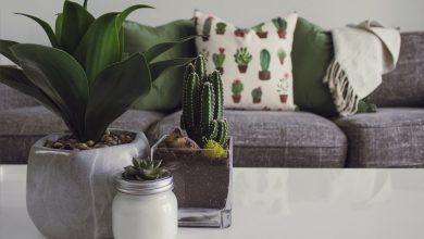 Photo of Een frisse start met nieuwe vrolijke kleuren in de woonkamer