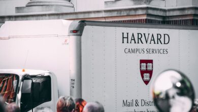 Photo of Wat is het niveau van Harvard?