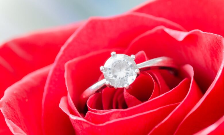 Het leven en de liefde van Nina Warink