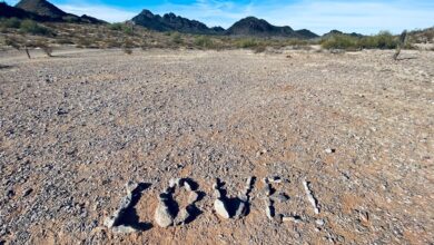 Photo of Britt Wolthuis vriend: liefde, moederschap en een druk bestaan