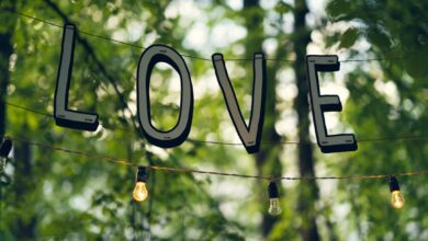 Photo of Het bijzondere liefdesleven van Lies Visschedijk