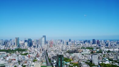 Photo of Lille: verrassende stedentrip dichtbij huis