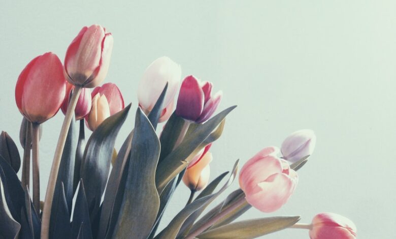 Wilgen snoeien voor gezonde en sterke bomen